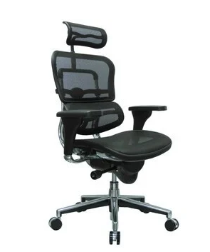 ergohuman high back swivel chair