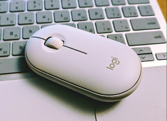 Which Is the Best Mouse In Pakistan?