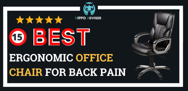 ergonomic office chair for back pain